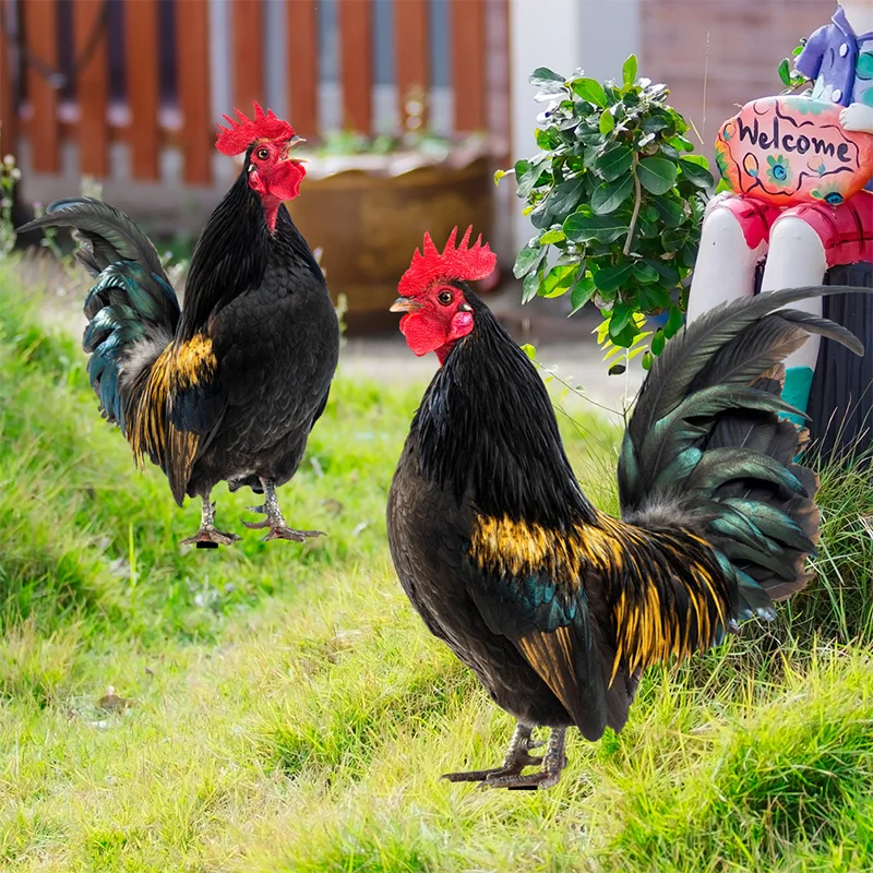 

1PC Double-sided Printing Poultry Figurine Garden Stakes Ornaments Lawn Insert Signs Acrylic Chicken Sculpture Rooster Statue
