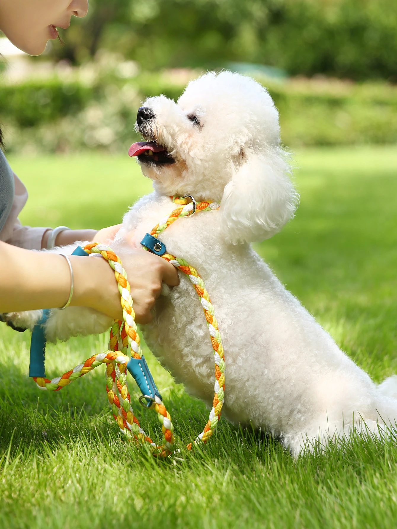 Поводок для собак UFBemo со свободными руками металлический ремень кольцо
