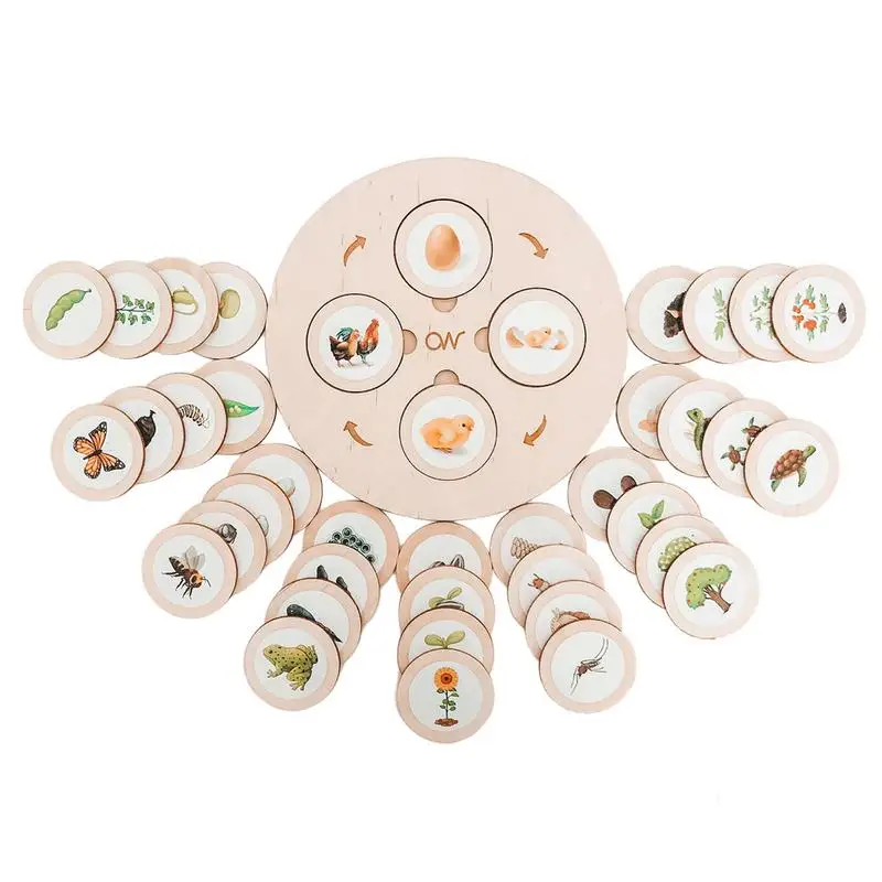 

Montessori Life Cycle Puzzle Montessori Life Growth Cycle Board Wooden Jigsaw Puzzles Animal Figures Matching Game Educational