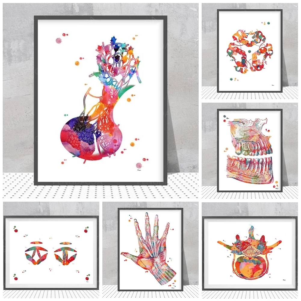 

Home Decor Canvas Paintings Pictures Wall Art Printed Modular Cranial Nerves Watercolor Poster No Framework Artwork Living Room