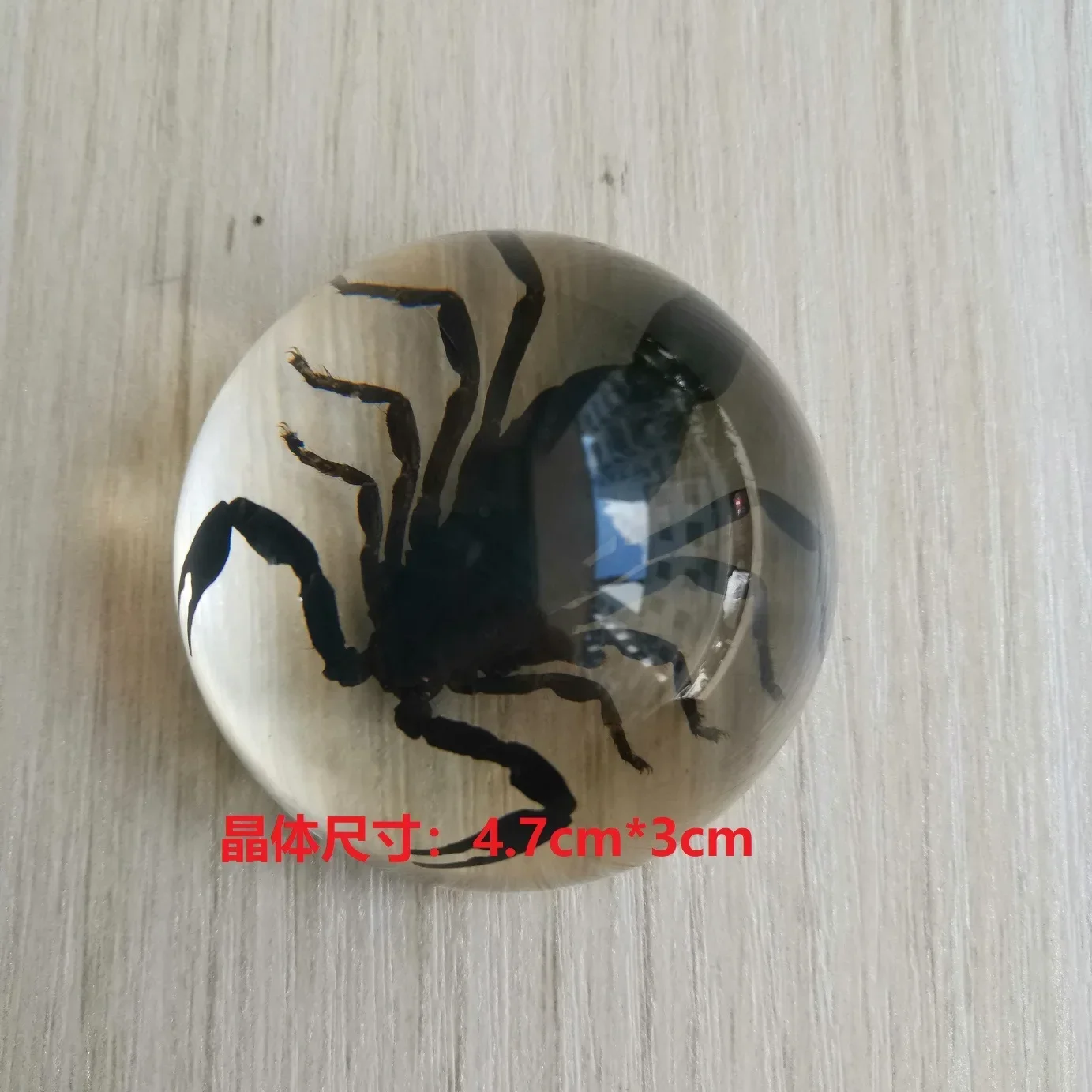 

Герметичные образцы насекомых в смоле