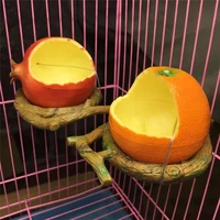 orange pomegranate shaped birds feeder pet feeders food container drinking bowls parrot birds hamsters feeder