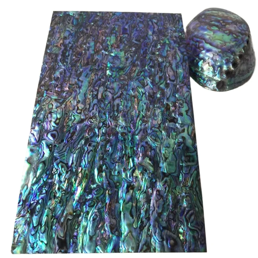 

Натуральная ракушка морского ушка, синяя и зеленая, 240x140 мм