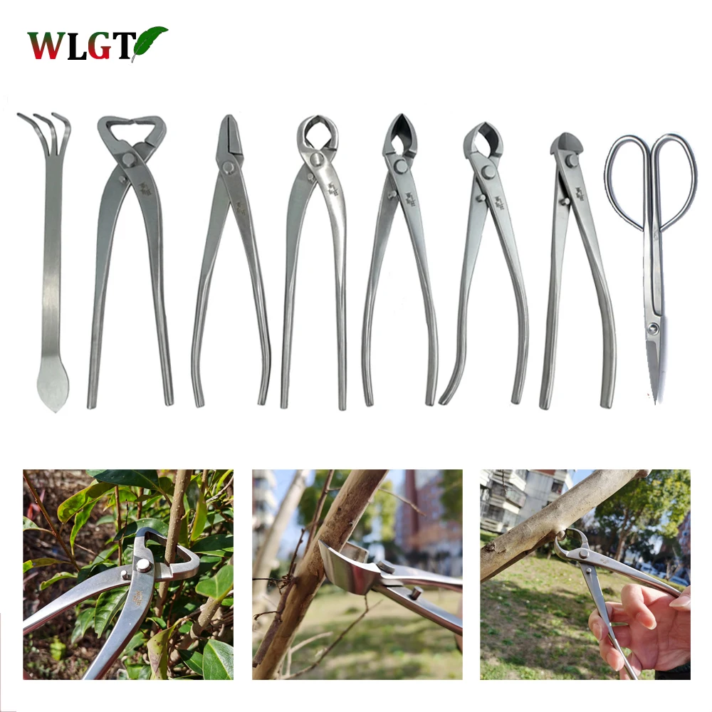 

Bonsai Pruning Tool Set Shear Garden Extensive Cutter Stainless Steel Scissors Kit for Home Garden Professiona Gradel