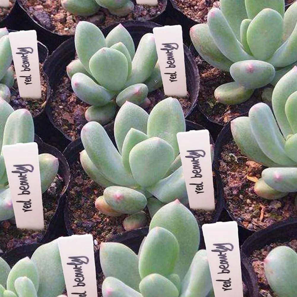 100 Plant Labels Garden Sign Waterproof Nursery Plaques For Plants Tags Markers Plastic Labels For Plants Identifier