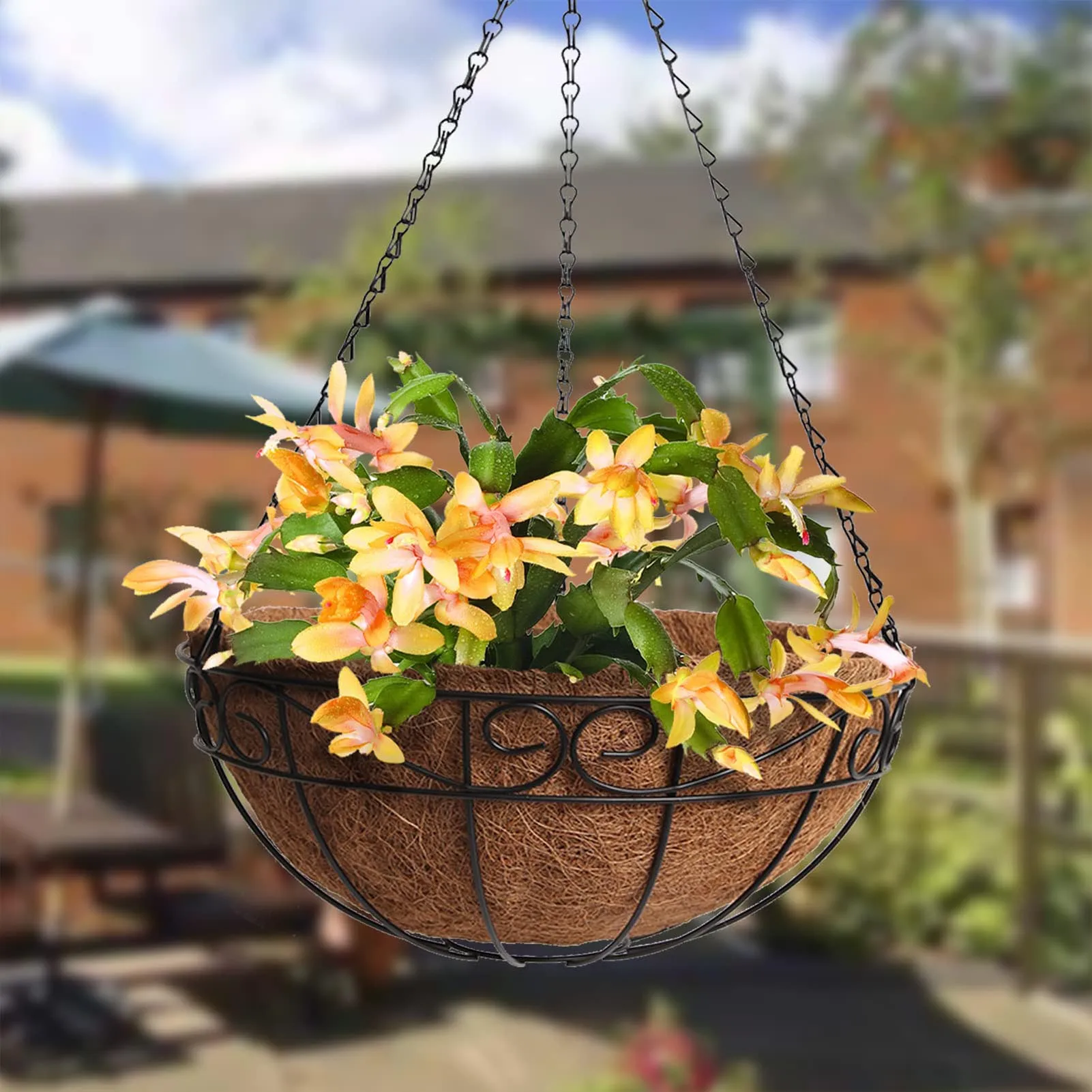

Round Coconut Liner Basket Natural Coco Liner Replacement Round Coco Fiber Flower Pot Easy To Install Replacement Liner For