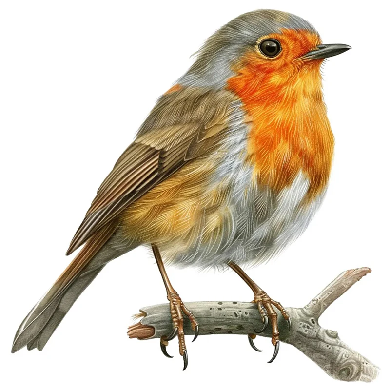 

Водонепроницаемая наклейка Робин