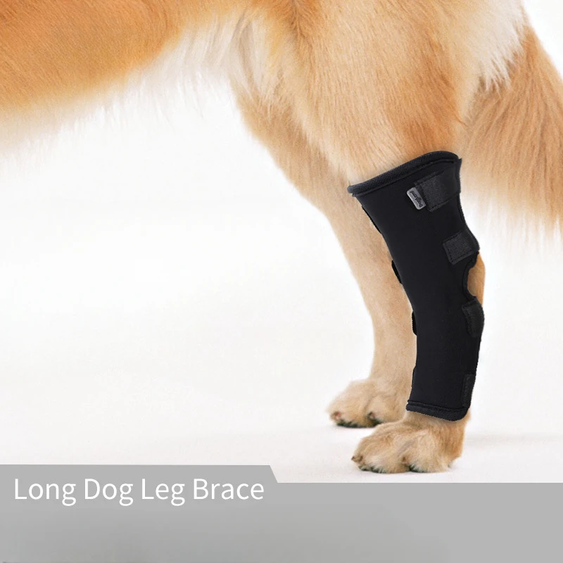 

Pet Dog Bandages Dog Injurie Leg Knee Brace Strap Protection for Dogs Joint Bandage Wrap Doggy Medical Supplies Dogs Accessories