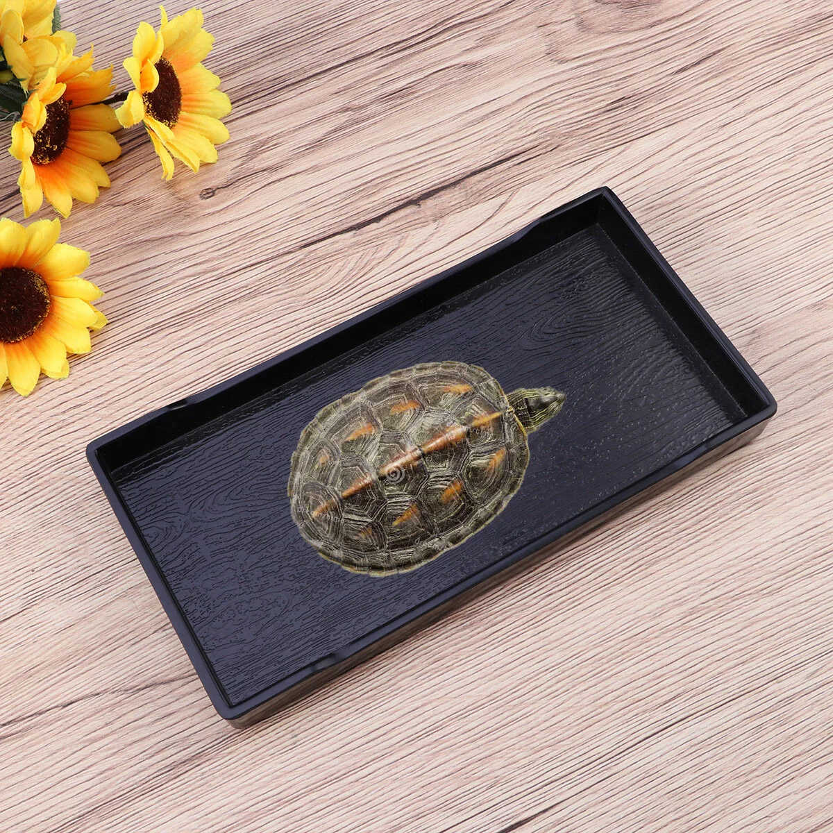 

1Pc Reptile Bowl, Tortoise Habitat Accessories Pets Feeding Plate Reptile Breeding Tray for Reptile and Amphibian, 205x105x2cm