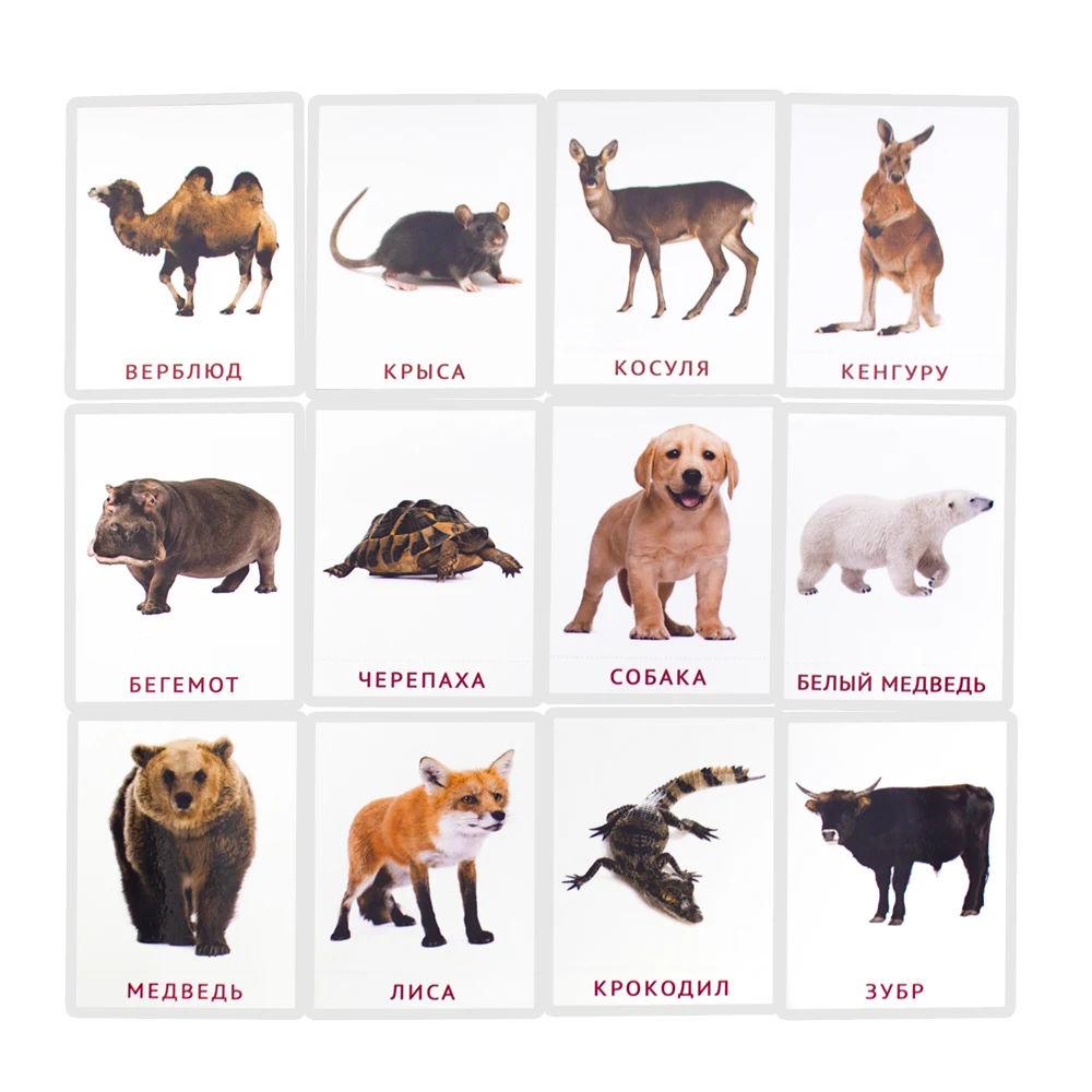 Детские развивающие карточки Монтессори с животными 19 шт. |