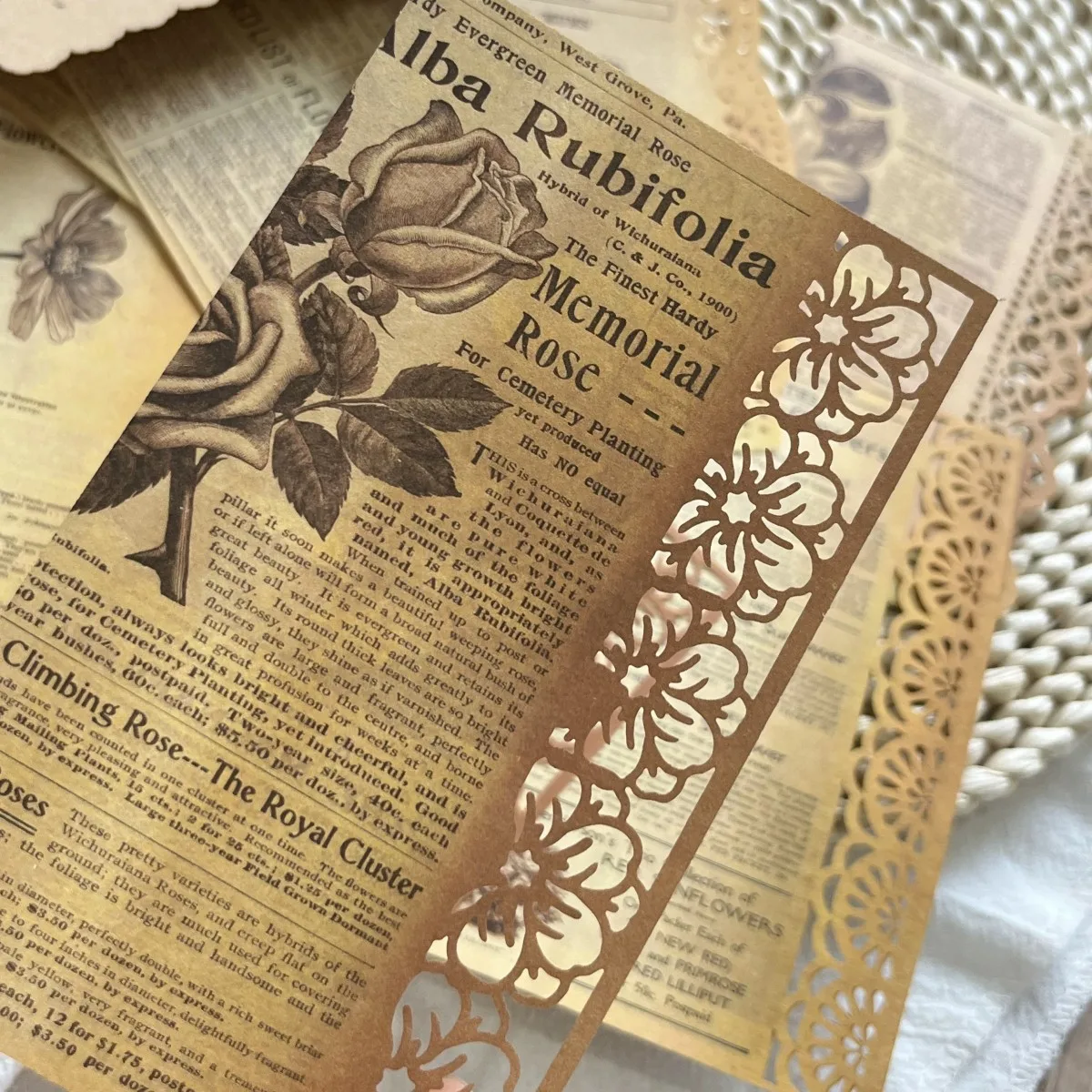 

Vintage Plant Manuscript Material Paper Hollow Lace Edge Background Paper Decorative Diary Collage Lable Junk Journaling Planner
