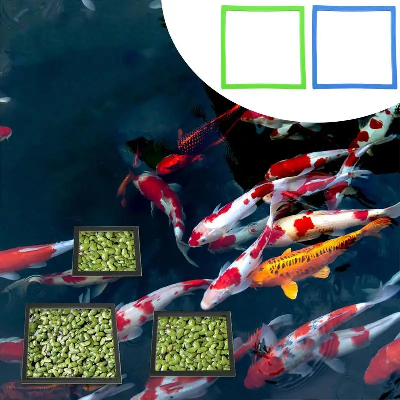 10 шт. кольца квадратные плавающие растения 5 размеров