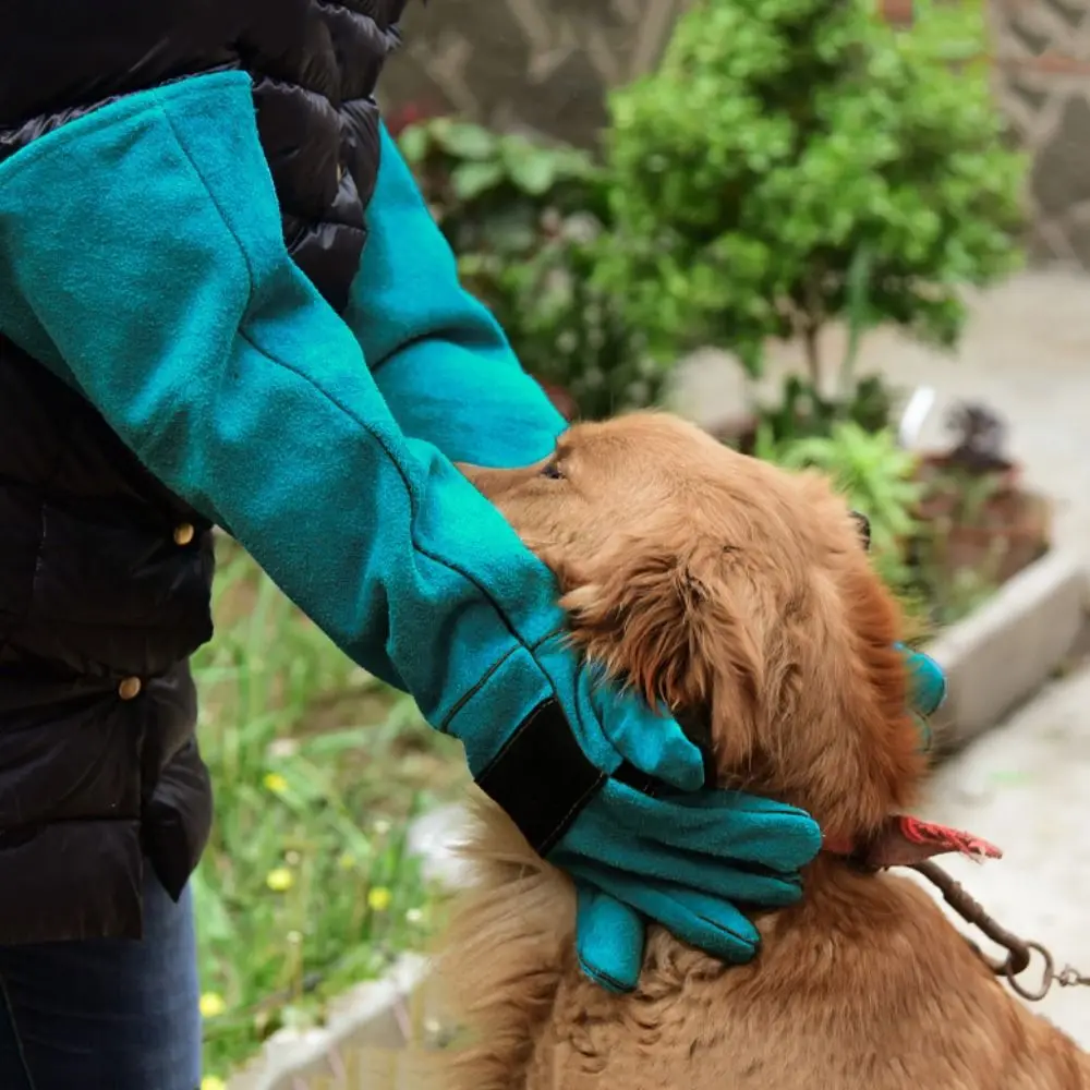 

1 pair Anti-Scratch Anti-Scratch Protective Gloves Leather Bite-resistant Pet Handling Gloves Green Wear-resistant