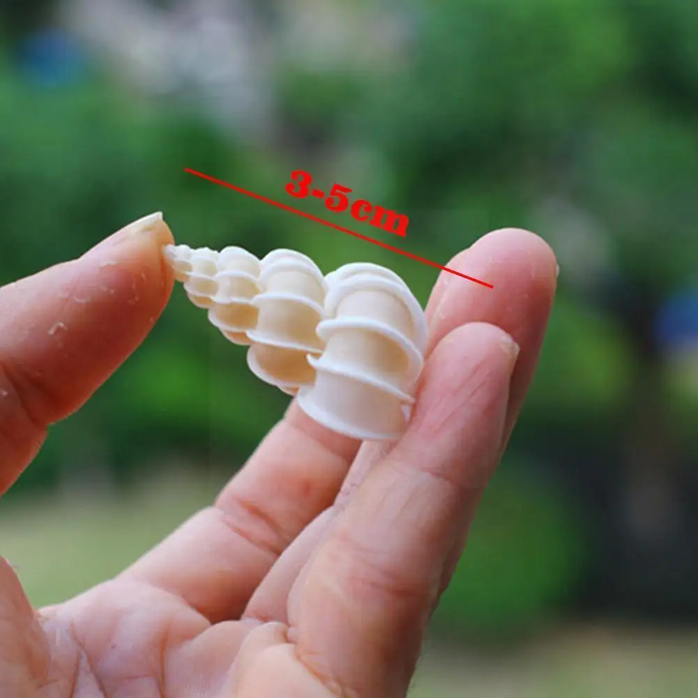 

1PCS Natural Red Snail Natural Conch Shell Sea Hare Starfish Collection Specimen Home Decor And Y2G5