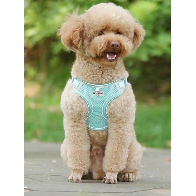 

Cat Dog Adjustable Harness Soft Breathable Polyester Mesh Harness For Small Medium Pet Walking Lead Leash For Puppy Dogs Collar