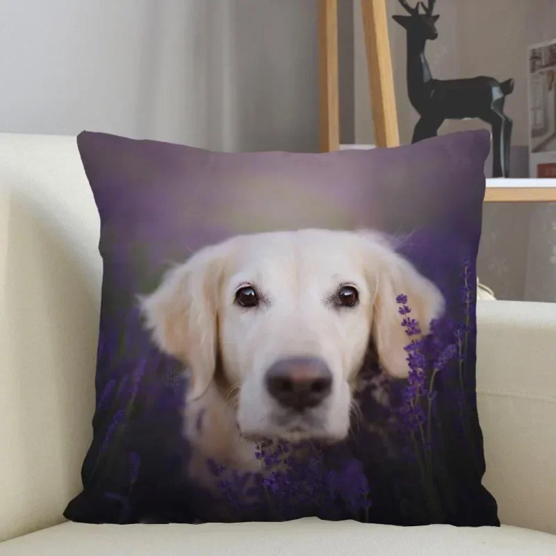 

Декоративная наволочка Golden Retriever 45x45 см, полиэстер