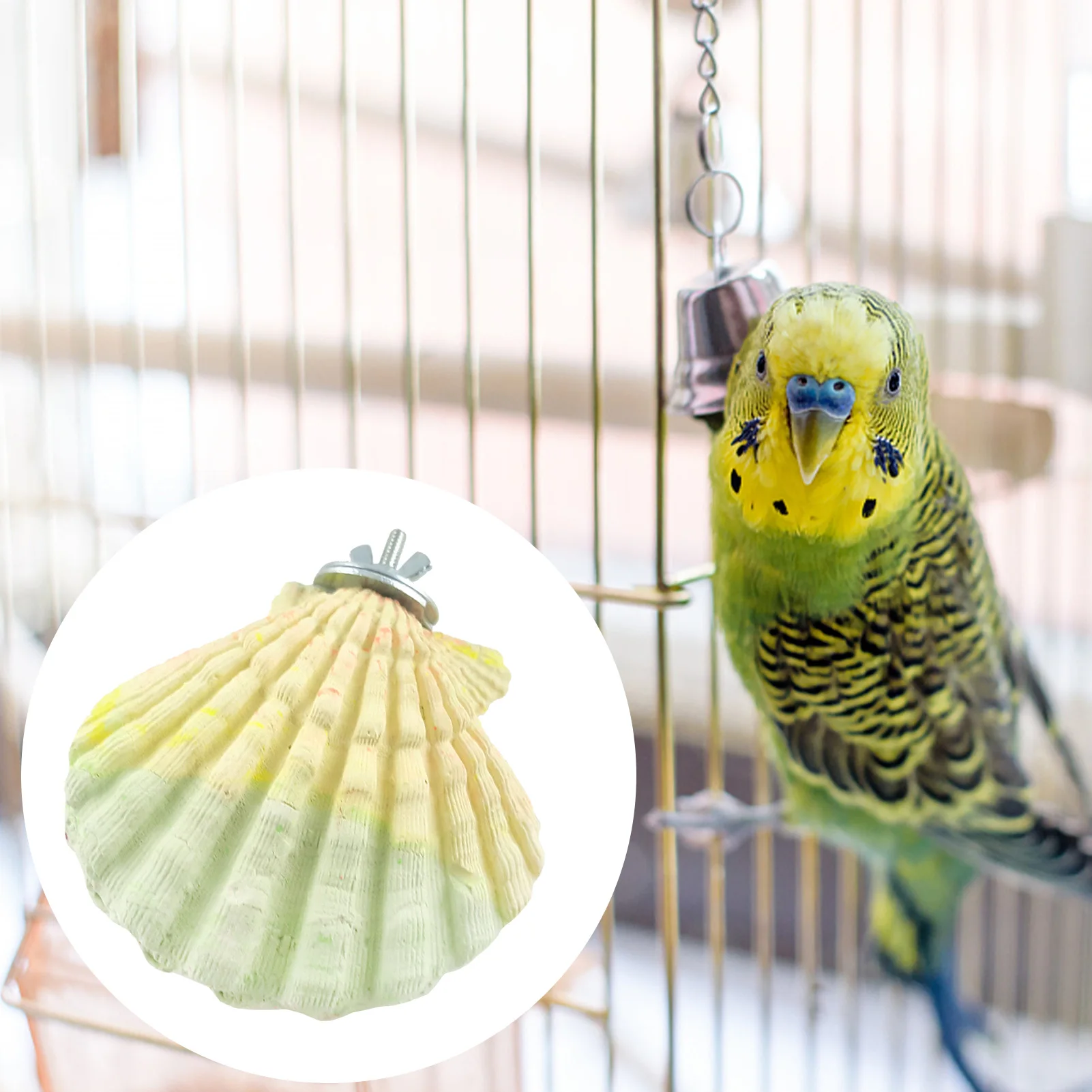 

Bird Beak Grinding Stone Pet Bird Perch Stand Shell Shape Platform Playstand Birdcages Accessories Pet Bird Teeth Paw Beak
