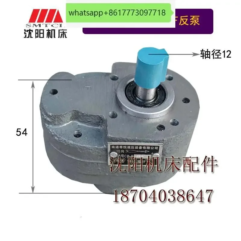 Shenyang Dalian CW6163CW6180 токарное опорное масло CB-B6 шестеренчатое шестеренный насос