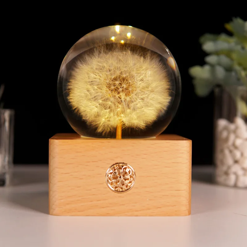 Dandelion Dried Flowers Rechargeable Nightlight for Girls Car Accessories for Girls Birthday Valentine's Day Gift