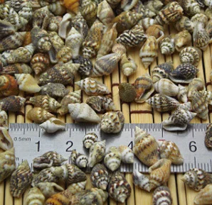 

Материал «сделай сам», украшение для дома, натуральная ракушка, специальное украшение для аквариума, морской песок, аквариум с декорированн...