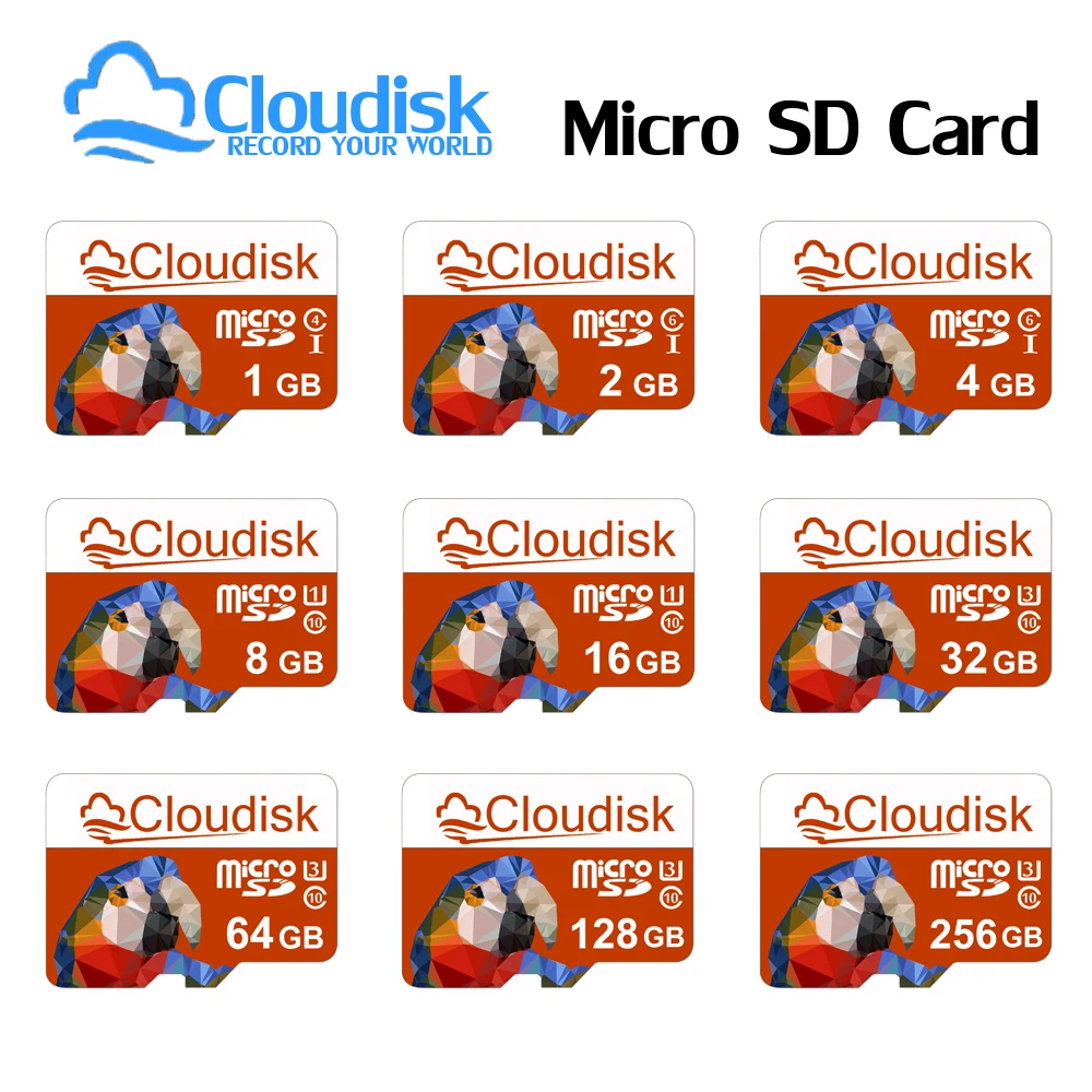 

Cloudisk Micro SD U3 Memory Card 128GB 64GB 32GB 256GB V30 Class 10 4GB 2GB 1GB A1 TF Microsd Cards 16GB 8GB For Phone Tablet