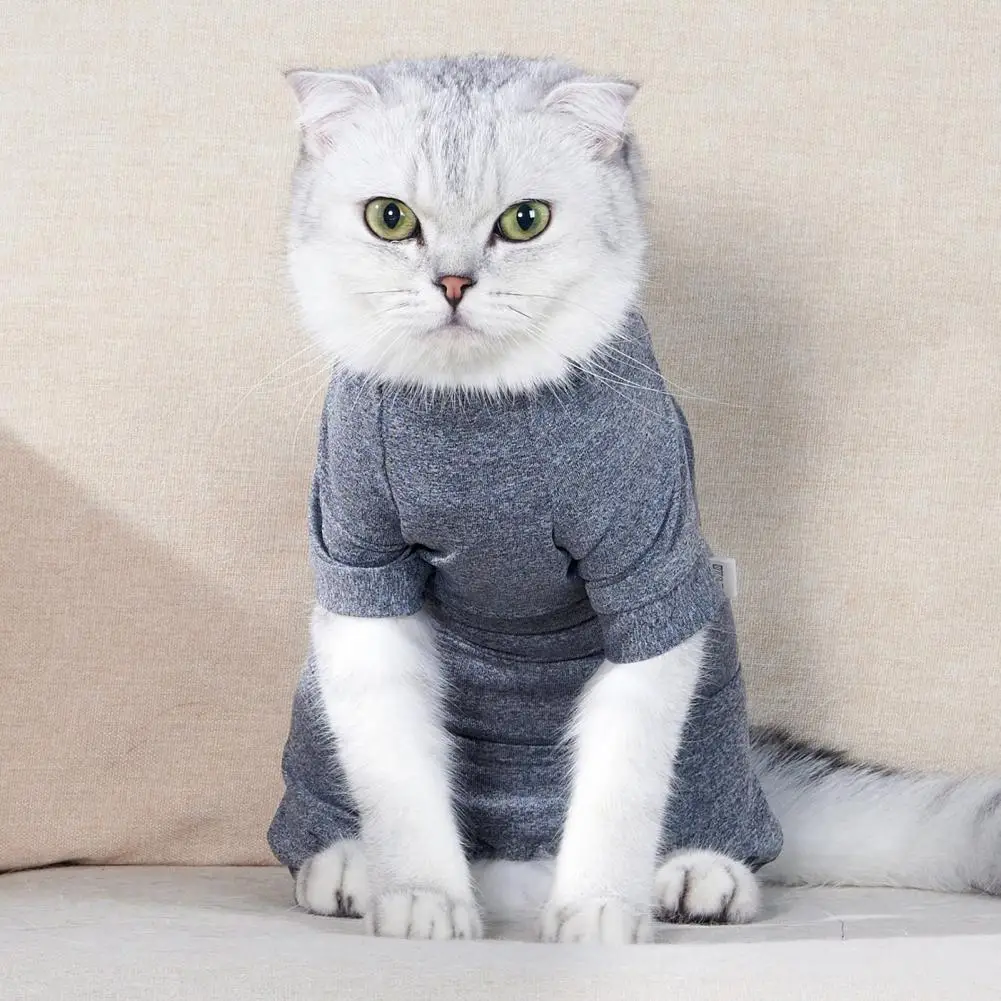 Cat Physiological Pants Dog Shorts XS-L Pet Puppy Dog Cat Washable Female Diaper Sanitary Jumpsuit Underwear Brief