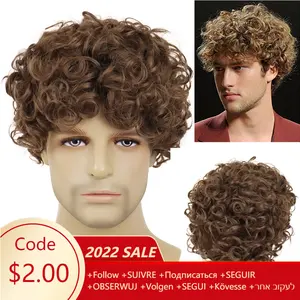 GNIMEGIL Men Wigs Natural Hairstyle Synthetic Fiber Short Brown Wig with Bangs Curly Wig Cosplay Carnival Halloween Costume Wig