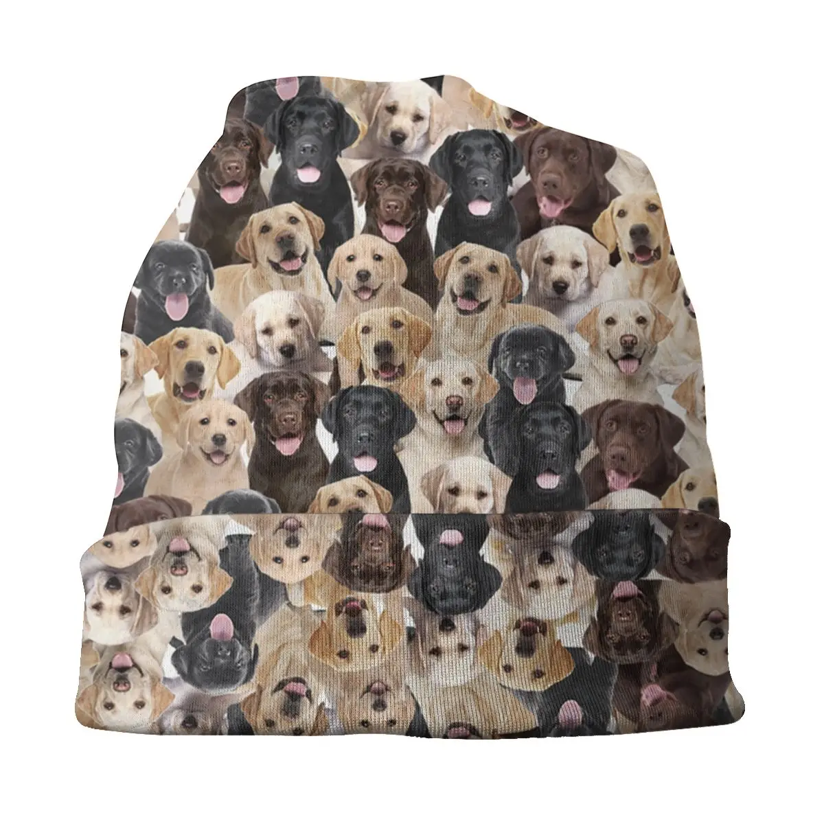Шапка-бини с изображением Лабрадора осенне-зимняя
