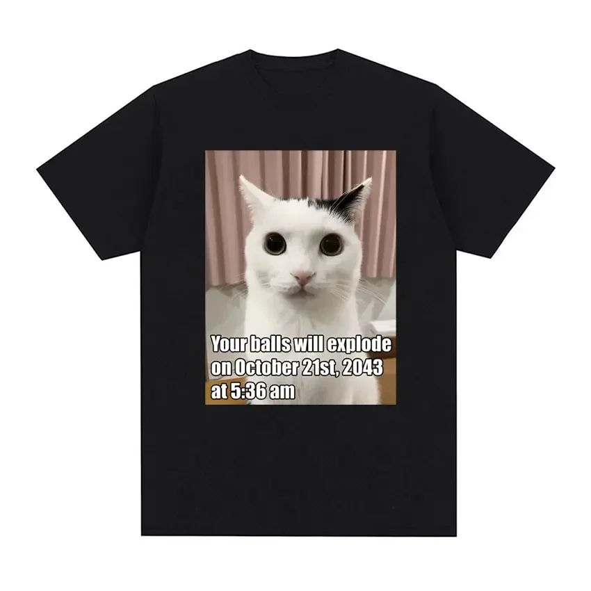 Забавная графическая Футболка с принтом &quotтвои Мячи взорвутся&quot &quotКошка&quot