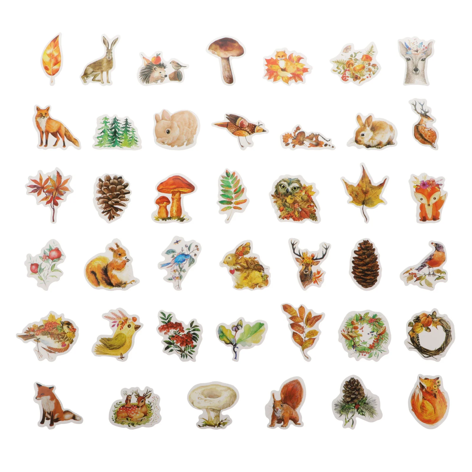 Decorate