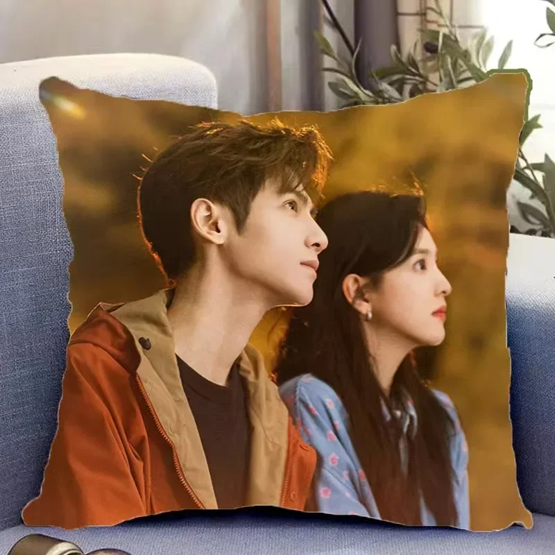 Leo Zhang Runan Luo Yunxi HD Двусторонняя Автомобильная Подушка С Принтом