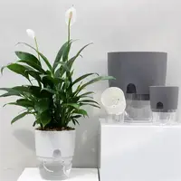 Горшок с автополивом#2