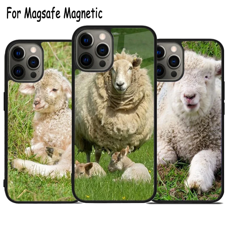 Чехол Magsafe для телефона Wooly Sheep из овечьей шерсти с беспроводной зарядкой iPhone 15 16 14