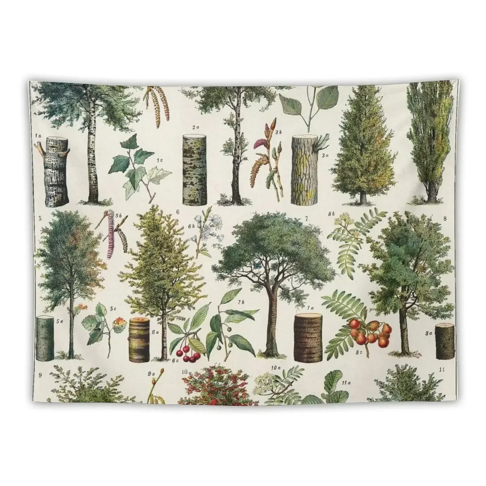 Adolphe Millot - Arbres B французский винтажный ботанический постер гобелен подвесное