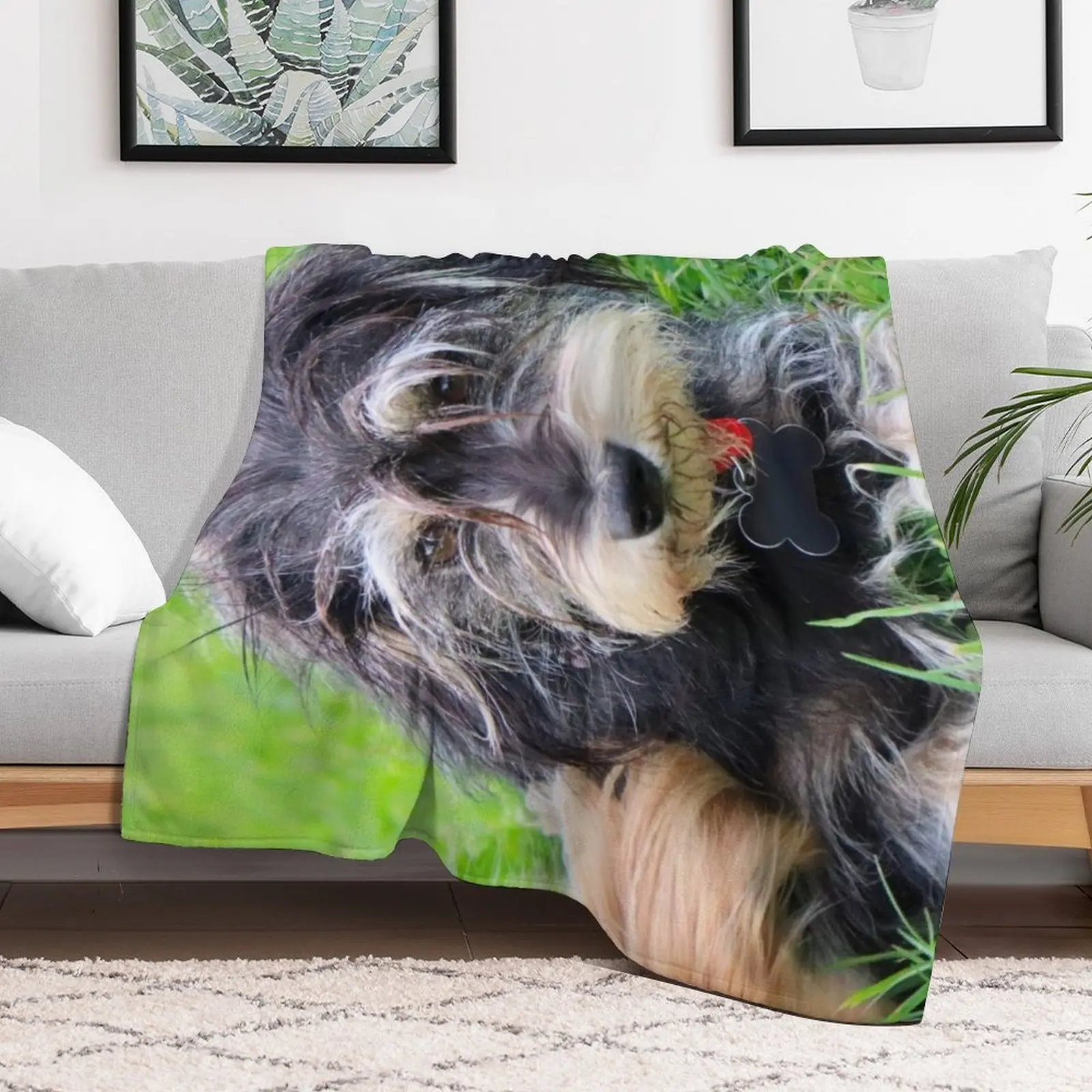 Миниатюрный шнауцер собака Белла Плед Путешествия Пляж Мягкие кровати для