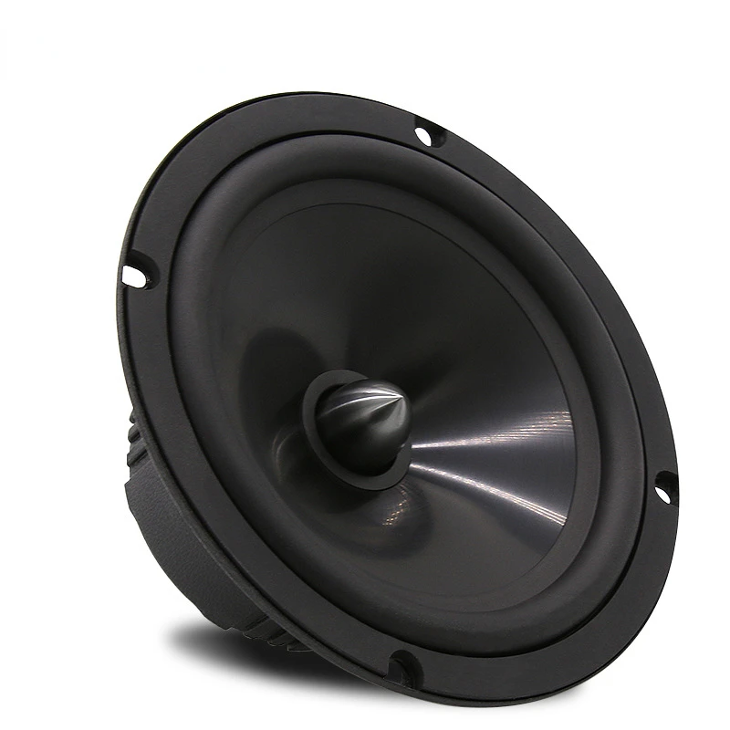 Car Audio Modification Front Door Speaker, High And Low Pitc