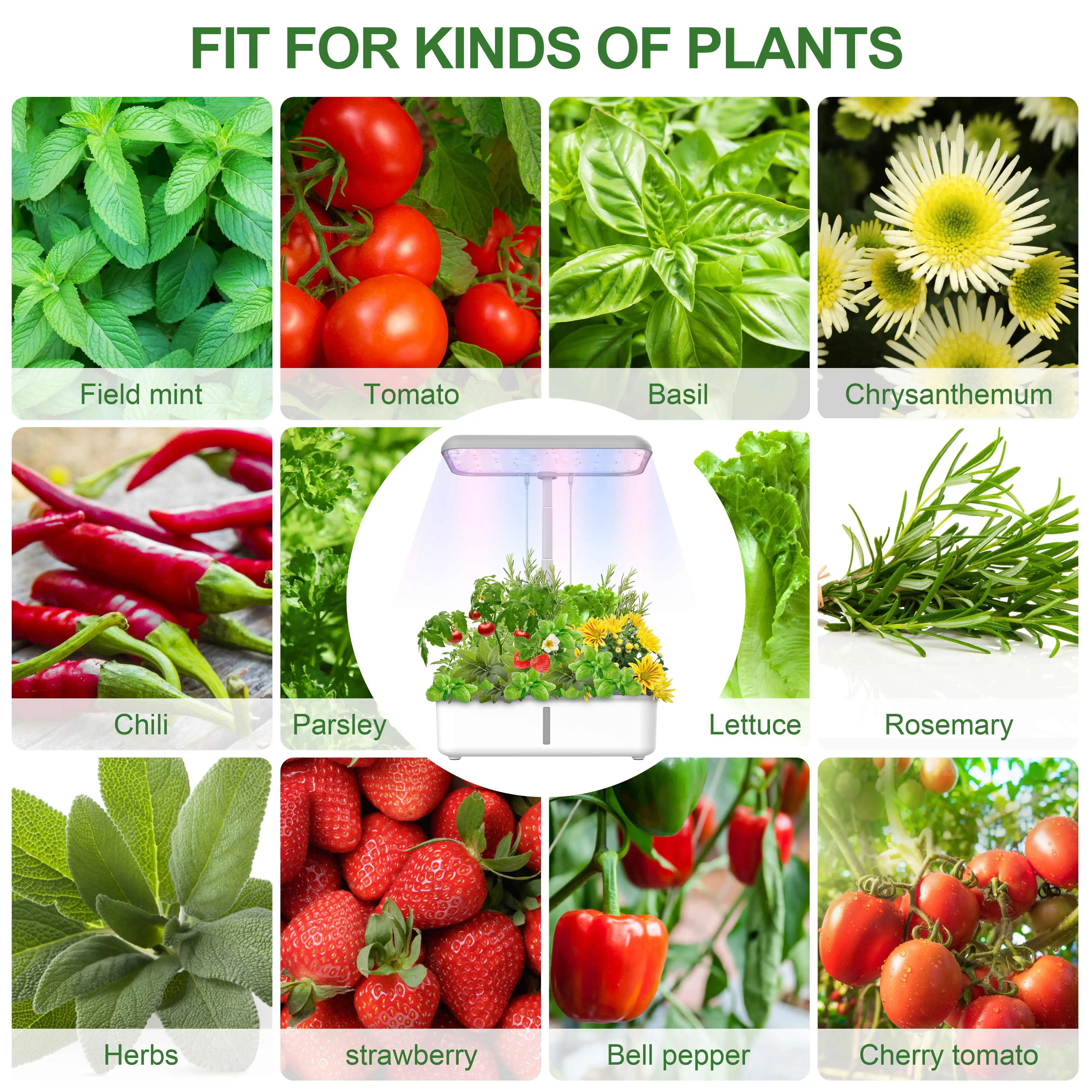 Интеллектуальная система оксигенации и водного цикла полный спектр