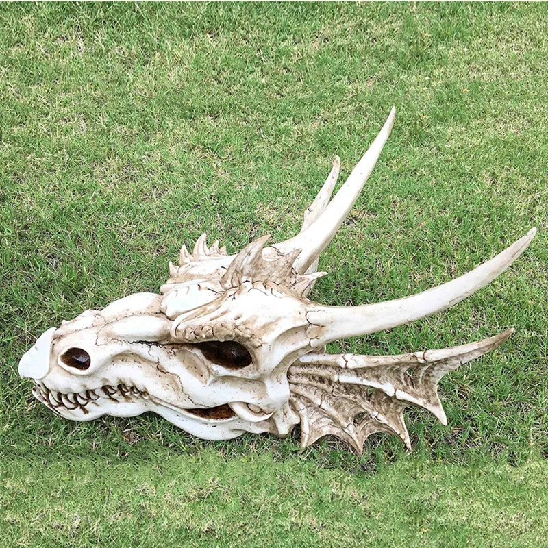 Fossil Statue of Erathia Dragon Elder Skull for Medieval Age Fans Game Thrones Dungeon and lovers |
