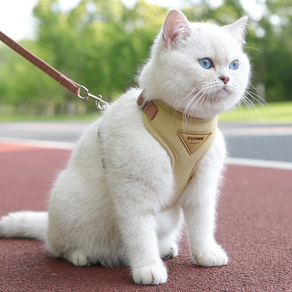 Cat Puppy Outdoor Walking Supplies Fashion Pet Harness and Leash Set for Small Dogs Cats Breathable Durable Kitten Harnesses Cat Puppy Outdoor Walking Supplies Fashion Pet Harness and Leash Set for Small Dogs Cats Breathable Durable Kitten Harnesses
