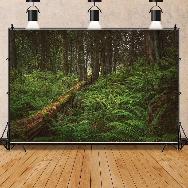 Опавшие деревья в зеленых девственных хвойных лесах фоны для фотосъемки