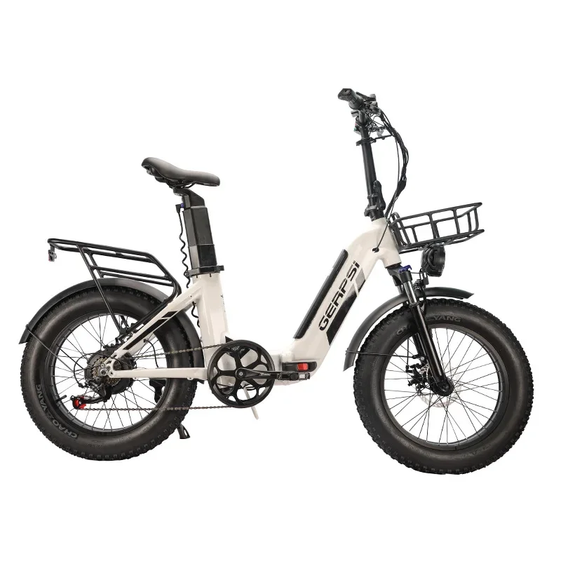 

Assistance Electric Bicycles 48V 500W Ebike Dual Battery Damping Disc Brake Aluminium Alloy All Terrain 20 Inches