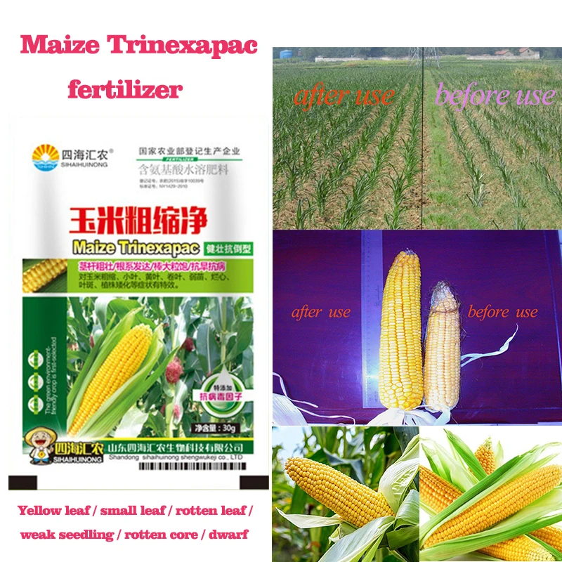 

Полное зерно, специальное удобрение, кукуруза, овощной сад, растение, стимулирует Корневище роста, удобрение сельскохозяйственных культур ...