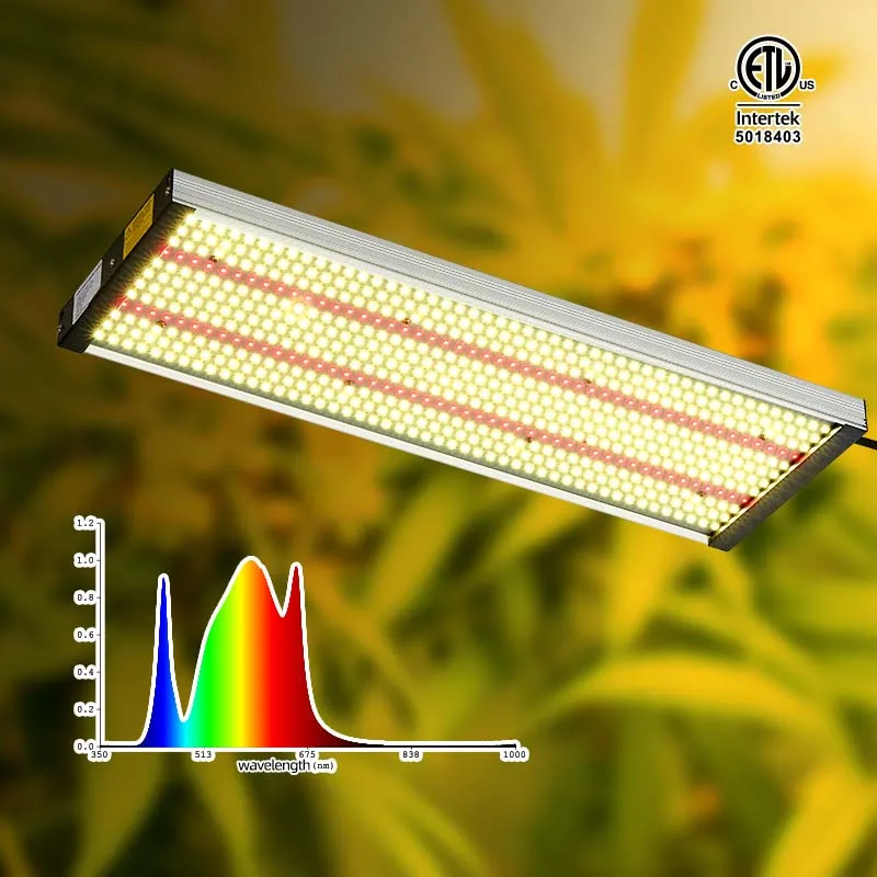 

commercial Waterproof greenhouse lamp for Flower and Tomato replace HPS 1000W horticulture led grow lights