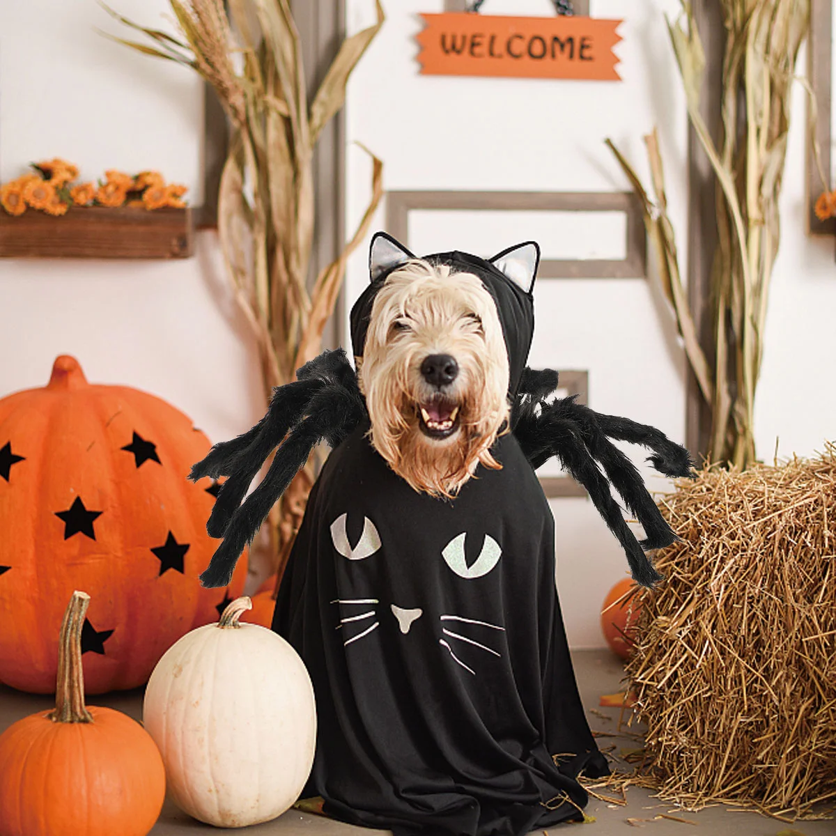

Dogcostumecostumes Spider Dogs Pet Cat Clothes Outfit Small Christmas Cosplay Large Pyjamas Puppy Pug Customes Cats Apparel