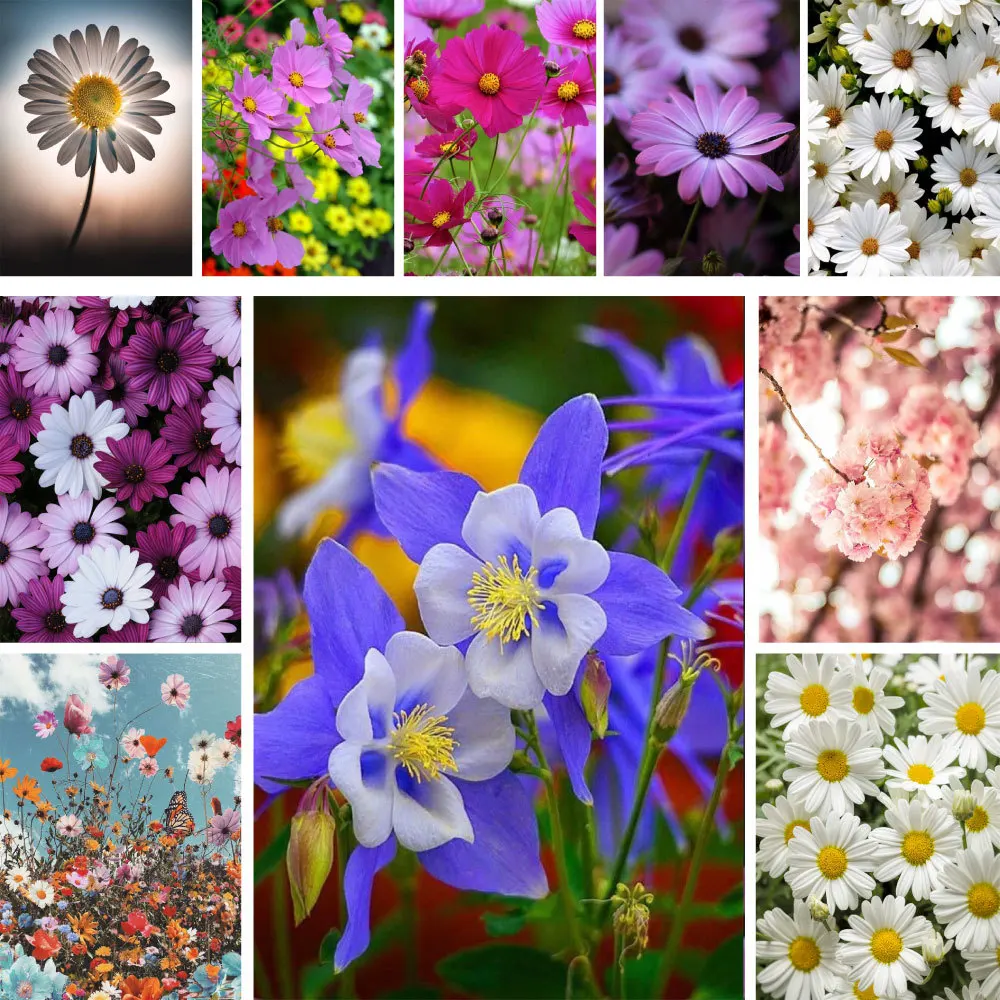 

Набор для вышивки крестиком с цветочными хризантемами, DMC нитки для шитья, рукоделия, хобби, домашний декор, оптовая продажа