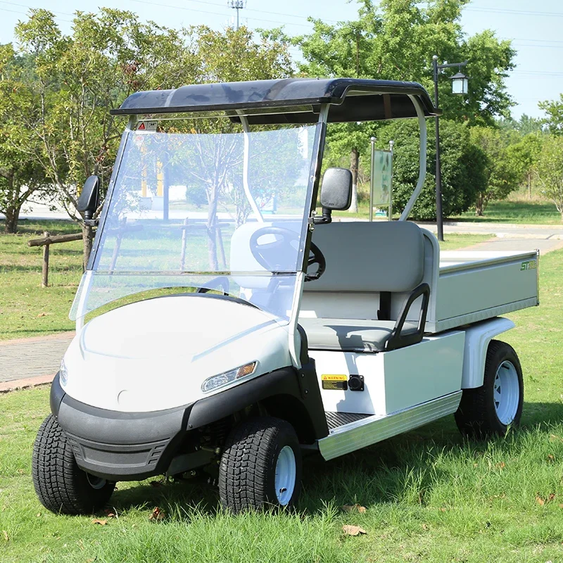 Поддержка OEM электрической тележки для гольфа с задней корзиной и багги
