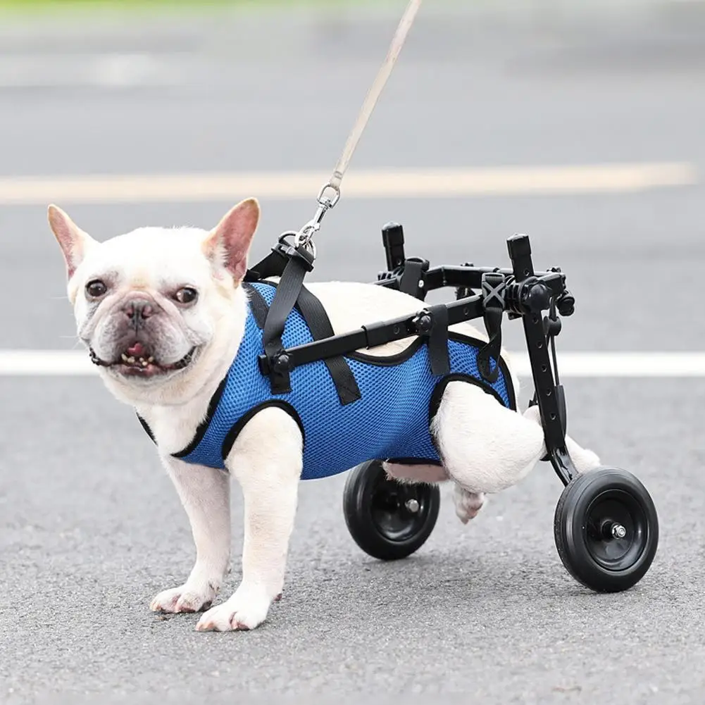 

Adjustable Hind Limb Hind Leg Disabled Pet Dog Mobility Aid Rehabilitation Wheelchair For Back Legs Lightweight
