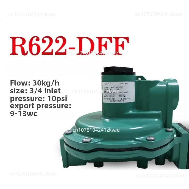 R622-DFF Регулятор среднего и низкого напряжения Редукционный клапан газа зеленого