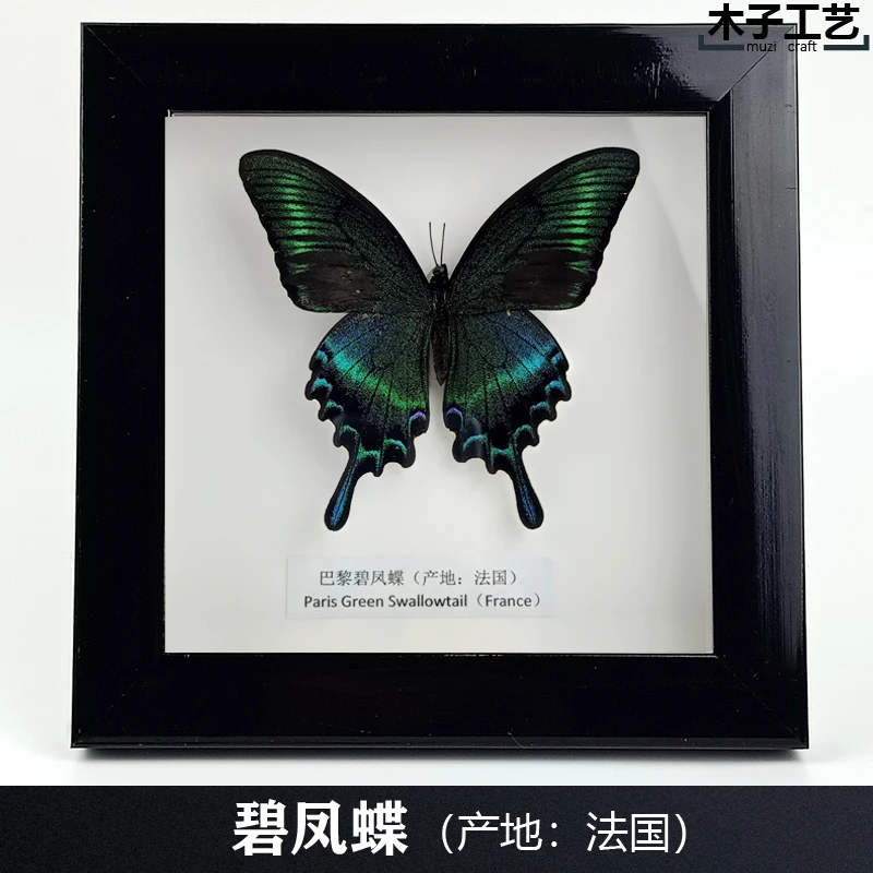 

Real butterfly specimen photo frame 18 * 18 handicraft ornaments collection Birthday wedding gift picture frame home decor