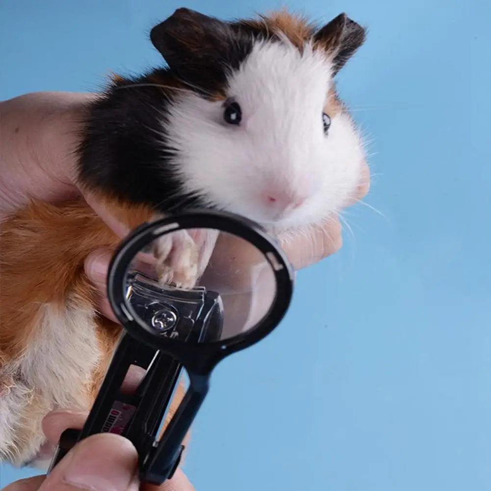 

Small Pet Nail Clipper with Magnifying Glass for Hamster Hedgehog Chinchilla Guinea Pig